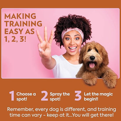 OUT! PetCare Go Here Attractant Dog and Puppy Potty Training Spray, Safe & Effective Puppy Pee Spray, Dog Housebreaking Supplies, Indoor and Outdoor House Training Tool, 32 oz