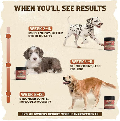 Alpha Organ Blend for Dogs - Grass Fed Beef Liver Heart Kidney Pancreas Spleen Powder - Freeze Dried Dog Vitamin Minerals - Supports Immunity Joints Skin Coat Energy - All Breeds 30 Servings