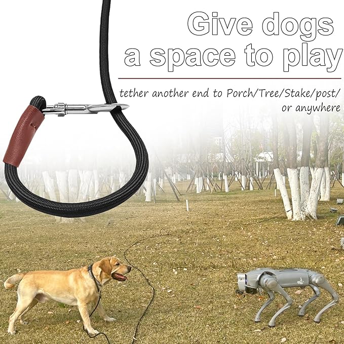 Tie Out Rope Dog Leash, Long Tether 8-10-13-15-20-25-30-35-40-50-65 FT Nylon Check Cord for Medium Large Dogs Indoor/Outdoor Camping Backyard (Black, 3/8" x 10ft)