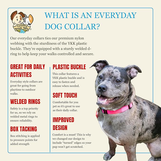 Country Brook Petz - Everyday Nylon Dog Collar for Large, Medium, and Small Dogs and Puppies - for Everyday Use in 10+ Warm Colors (Extra Large, 1 Inch Wide, Hot Pink)