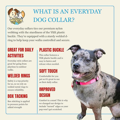 Country Brook Petz - Everyday Nylon Dog Collar for Large, Medium, and Small Dogs and Puppies - for Everyday Use in 10+ Warm Colors (3XS, 3/8 Inch Wide, Hot Pink)