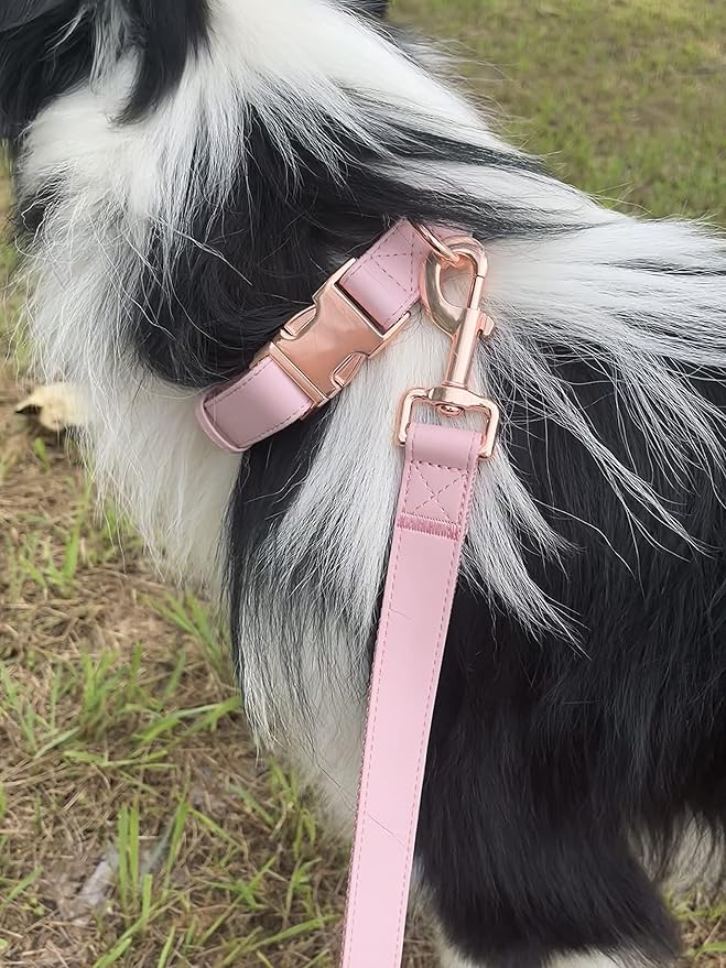 Dog Collar and Leash Set.Soft and Easy to Clean Vegan Leather with Rose Gold Metal Buckle for Small Medium Large Dogs (Pink, XS(8"-12"))