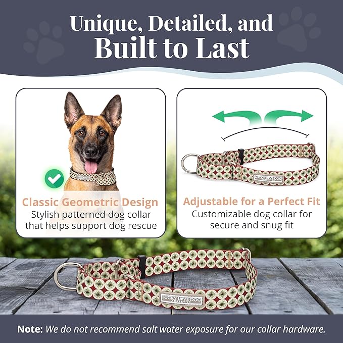 Lucky Love Dog Martingale Dog Collar - Adjustable, No-Slip, Durable, & Soft Webbing Collar for Male and Female Dogs Ideal for Training & Walking - in Unique Pongo Pattern, Large Size