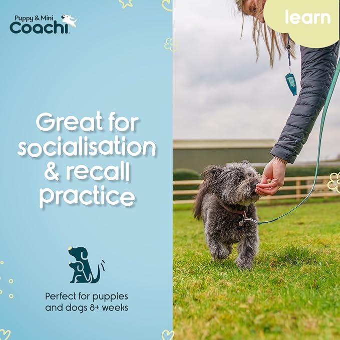 Coachi Puppy & Mini Waterproof Training Line 5m - Safe Outdoor Recall Training, Dog & Puppy Socialisation, Lightweight, Prevents Chasing. Suitable for Puppies and Small Dogs