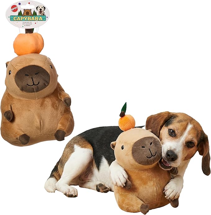 SPOT Capybara with Orange Plush Dog Toy, Soft Stuffed Squeaky & Crinkle Toy for Calm and Gentle Play, Adorable Capybara, for Light Chewers and Small Dogs, 8 Inch