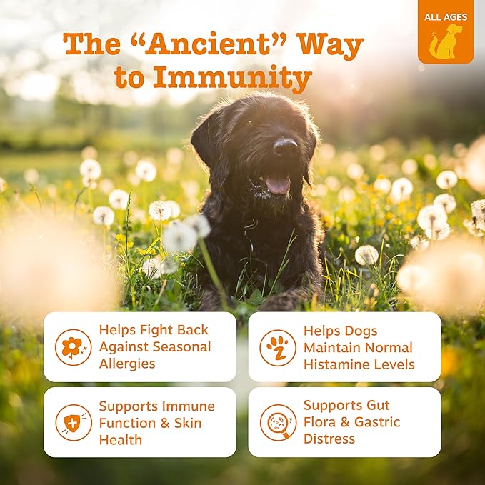 Zesty Paws Dog Allergy Relief - Anti Itch Supplement - Omega 3 Probiotics for Dogs - Digestive Health - Soft Chews for Skin & Seasonal Allergies - with Epicor Pets - Bison - 90ct (Pack of 2)