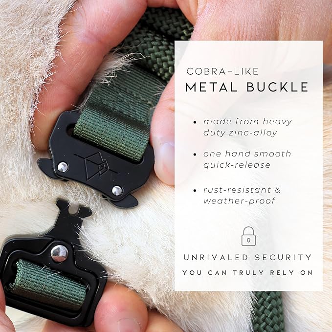 Made to ROAM Premium Explorer Control Collar - Adjustable Heavy Duty Nylon Dog Collar with Quick-Release Metal Buckle and Leather Handle (Florida Seaside, Size 2, Control)