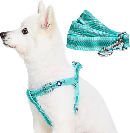 Blueberry Pet Essentials Reflective Back to Basics Matching Dog Harness and Leash Set, Minty Green, Adjustable Harness with 5 ft Leash for Medium Dogs