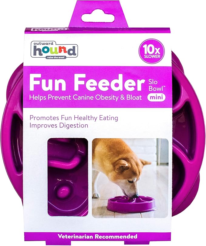 Outward Hound Fun Feeder Slo Bowl – Medium 2‑Cup Capacity,Slow Feeding,Small to Medium Dogs & Cats,Non-Slip,Purple,Flower Pattern,(Pack of 12)