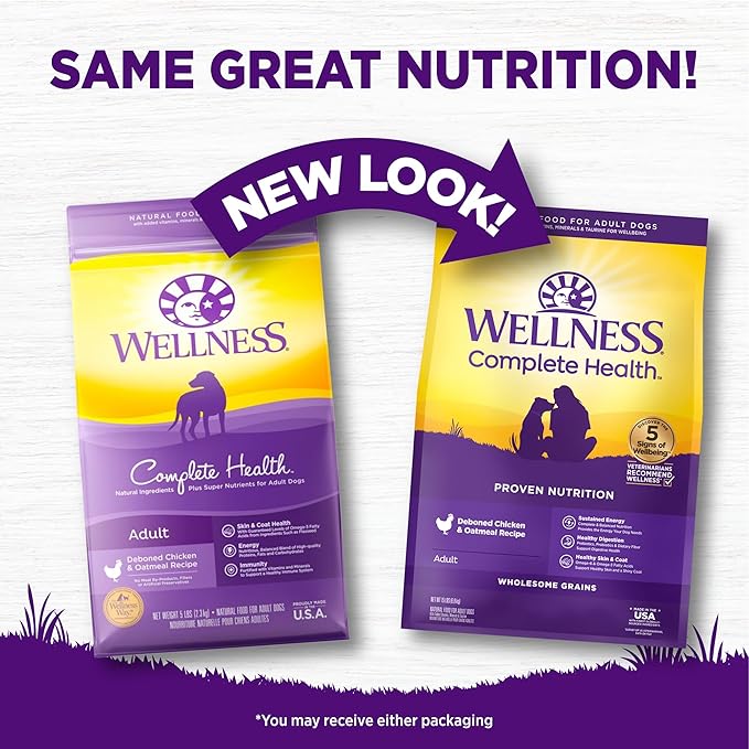 Wellness Complete Health Dry Dog Food, Wholesome Grains, Natural, Chicken & Oatmeal Recipe, (15-Pound Bag)