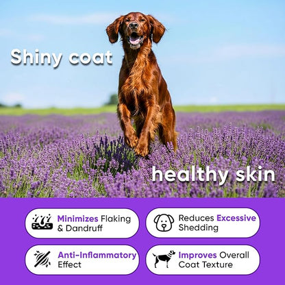 Omega 3 Fish Oil Chews for Dogs – Skin & Coat Supplement for Dog Allergy Chews- Anti Itch for Dogs - Soothes Itchy Skin & Shedding with Salmon - EPA & DHA - Chicken Flavor - 180 Chews for Daily Care