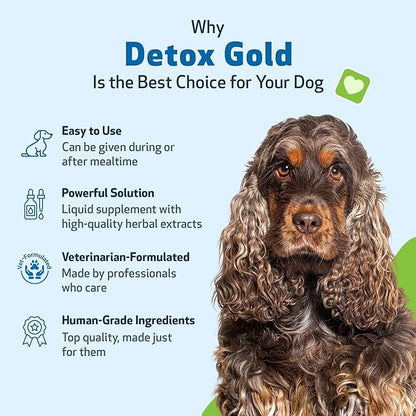 Pet Wellbeing Detox Gold for Dogs - Gentle Detoxification & Elimination Support, Immune System Care, Nettle, Blessed Thistle, Burdock Root - Veterinarian-Formulated Herbal Supplement 2 oz (59 ml)