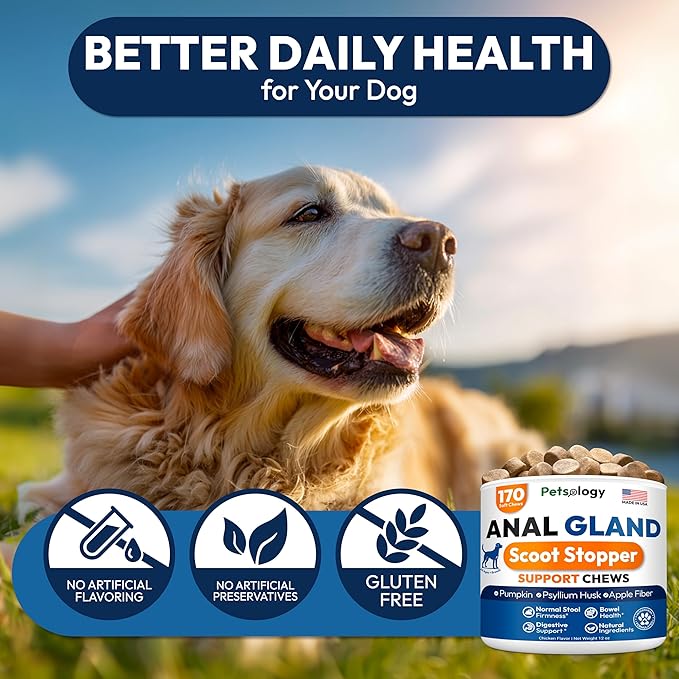 Anal Gland Support Chews for Dogs - 170 Ct - Scoot Treatment - Dog Anal Gland Supplement - Pumpkin, Psyllium Husk, Fiber - Supports Gut Health & Stool Quality - Digestive Enzymes - Made in USA