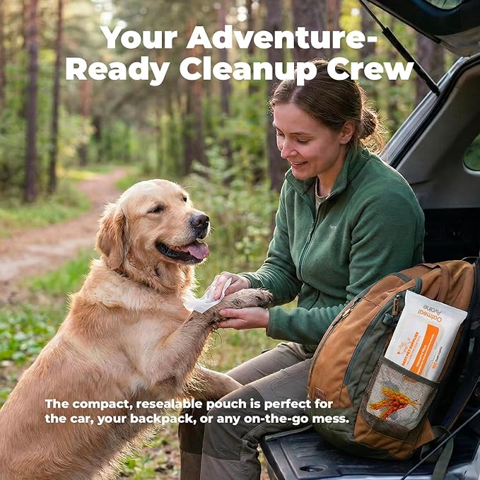 Best Pet Supplies 8" x 9" Large Unscented Dog Wipes - Cleaning and Deodorizing for Paws and Coat - Gentle Formula with Oatmeal Vitamin E for Puppies and Cats - 400 Count