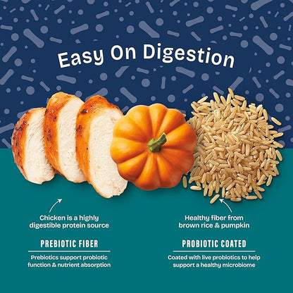 Natural Balance Health Protection Puppy Dry Dog Food – Whole Body Health, Easy on Digestion Dog Food Made with Chicken, Brown Rice & Pumpkin for Puppies - 4lbs.