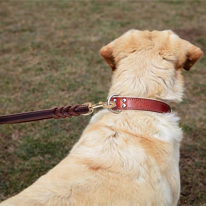 ADITYNA - Double Handle Leather Dog Leash 6ft - Heavy Duty Braided Dog Leash with Traffic Handle - Lead for Training and Walking Medium Large Breeds (Brown, Two Handles 6 Foot x 5/8")
