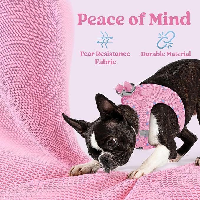 rabbitgoo Small Dog Harness, Step-in Soft Mesh Puppy Vest with Safety Buckle, Breathable Reflective Pet Harness for Small Sized Dogs, Pink & Plaid Trim M