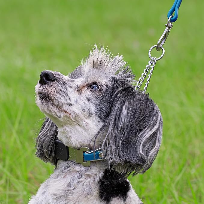 Herm Sprenger Chrome Plated Steel Dog Collar with Quick Release ClicLock Buckle O-Ring Biothane Insert Training Collar Made in Germany (Cerulean Blue, 16in x 2.25mm(Neck Size up to 13-14in))