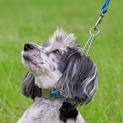 Herm Sprenger Chrome Plated Steel Dog Collar with Quick Release ClicLock Buckle O-Ring Biothane Insert Training Collar Made in Germany (Cerulean Blue, 16in x 2.25mm(Neck Size up to 13-14in))