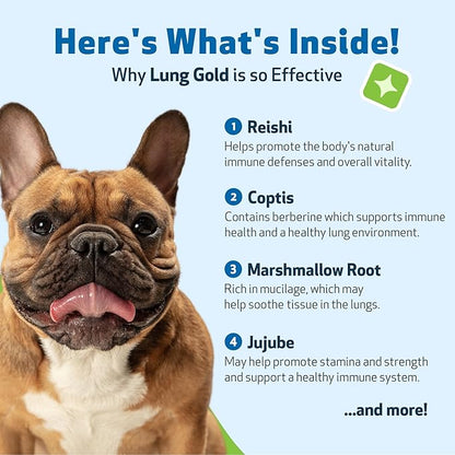 Pet Wellbeing Lung Gold for Dogs & Cats - Vet-Formulated - Lung & Respiratory Immune Support, Open Airways, Easy Breathing - Natural Herbal Supplement 4 oz (18 ml)