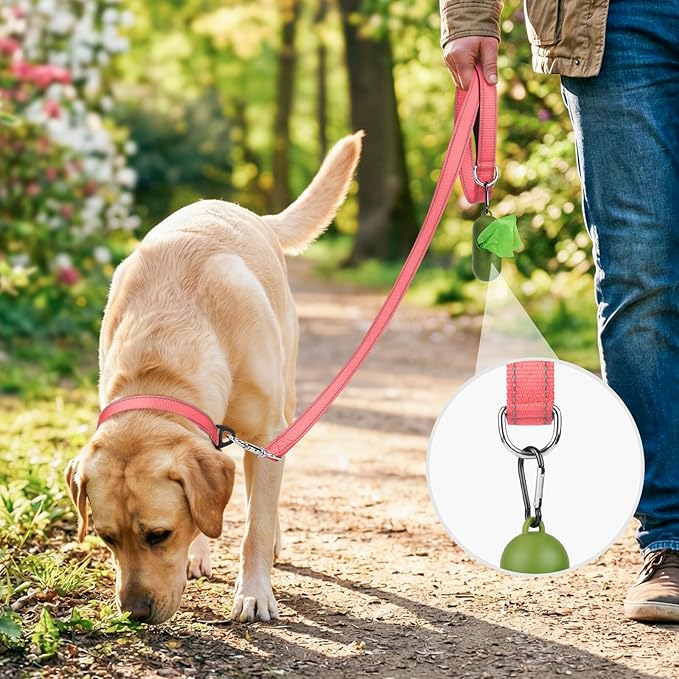 Joytale Dog Leash, 5 FT Double-Sided Reflective, Padded Handle Nylon Heavy Duty Leashes for Small Dogs Walking, Neon Pink