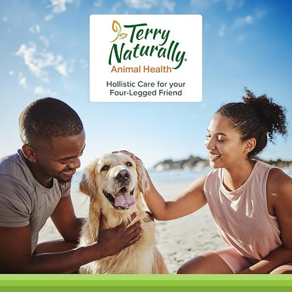 Terry Naturally Probiotic Daily - Balance Intestinal Microflora with Digestive Health Tablets - Dog Probiotic Supplement for Gut Health - Canine Probiotic for Bowel Support - 60 Chewable Tablets