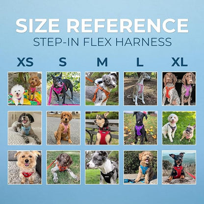 Best Pet Supplies Voyager Adjustable Step-in Flex Breathable Mesh Dog Harness for Small Medium Large Dogs Leash Set (Pink), XS