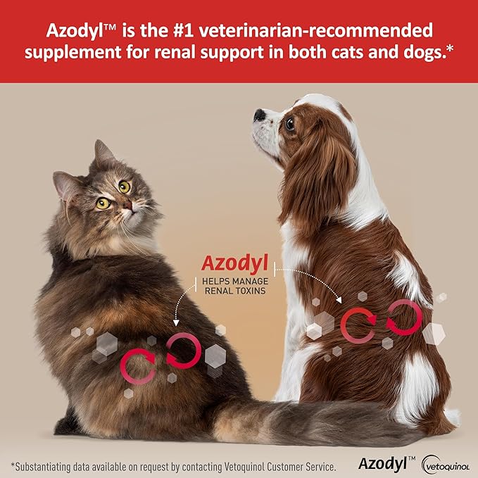 Vetoquinol Azodyl - Probiotic Supplement for Dogs & Cats - Offers Renal & Kidney Support for Pets - Easy-to-Swallow, Small Capsules - 90 Count