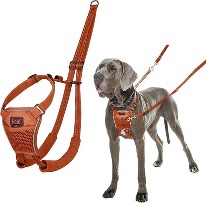 Halti No Pull Harness - Stop Your Dog Pulling on The Leash. Adjustable, Lightweight and Easy to Use. Reflective Dog Training Harness for Large Dogs (Size L, Burnt Orange)