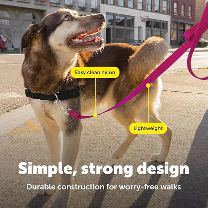 PetSafe Nylon Leash - Helps Maintain Secure Connection on Walks - Durable Pet Leash with Easy Clip - 3/4 in. x 6 ft. - Deep Purple