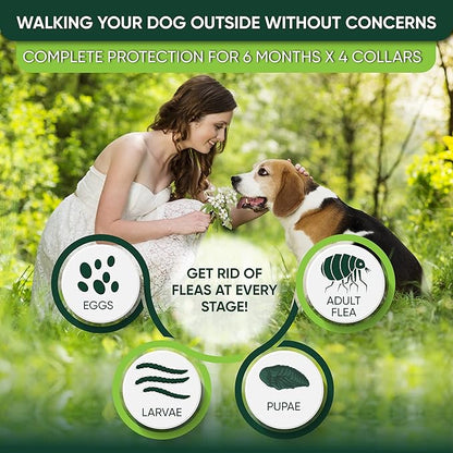 Flea and Tick Prevention Collar for Dogs, Adjustable Dog Flea and Tick Treatment for Puppy, Small, Medium, Large, and Extra Large Dogs, Best Natural Flea and Tick Collars (Gray Collar)