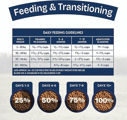Natural Balance Health Protection Puppy Dry Dog Food – Whole Body Health, Easy on Digestion Dog Food Made with Chicken, Brown Rice & Pumpkin for Puppies - 12lbs.