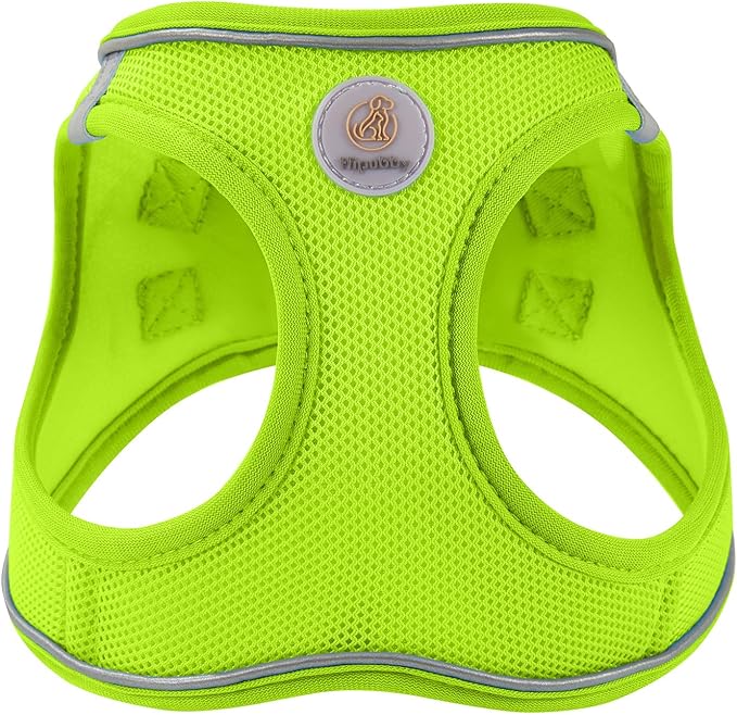 Hipubby Dog Harness and Leash Set, No Pull Soft Mesh Puppy Harness for Small Medium Dogs, Cats - Step in Reflective Breathable Lightweight Vest Harness for Walking, Training - Bright Green, XXS
