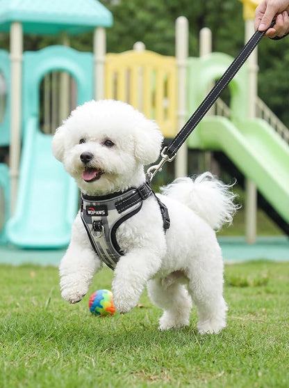 No Pull Dog Harness and Leash Set-Reflective Plaid Design, Adjustable & Comfortable with Front D Ring for Small Medium Dogs (XS, Black Plaid)