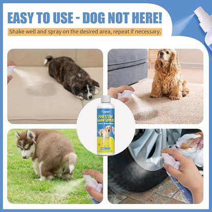 8 Oz not here Spray for Dogs Indoor, Effective Training Spray for Dogs to Stop Unwanted Marking and Messy Urination, Stop Unwanted Dog Marking Behavior