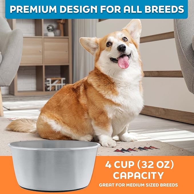 Master Pet Supply Stainless Steel Dog Bowls Set of 2 (32 Oz Each) with Non-Slip Rubber Base - Stainless Steel - Basic Dog Food Bowl Water & Food Bowls for Small Medium Large Dogs & Cats, Metal Dish
