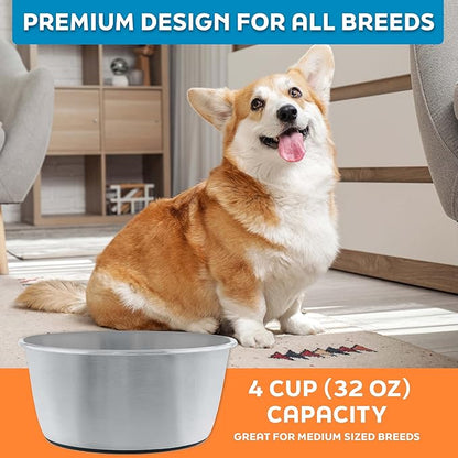 Master Pet Supply Stainless Steel Dog Bowls Set of 2 (32 Oz Each) with Non-Slip Rubber Base - Stainless Steel - Basic Dog Food Bowl Water & Food Bowls for Small Medium Large Dogs & Cats, Metal Dish