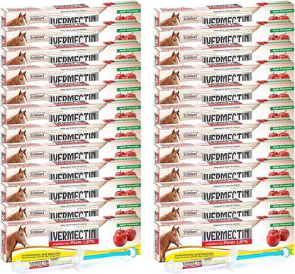 Horse Ivermectin Paste 1.87% – Apple Flavored Oral Horse Dewormer Syringe – 6.08g Tube Treats Horses Up to 1250 LB [Pack-24]