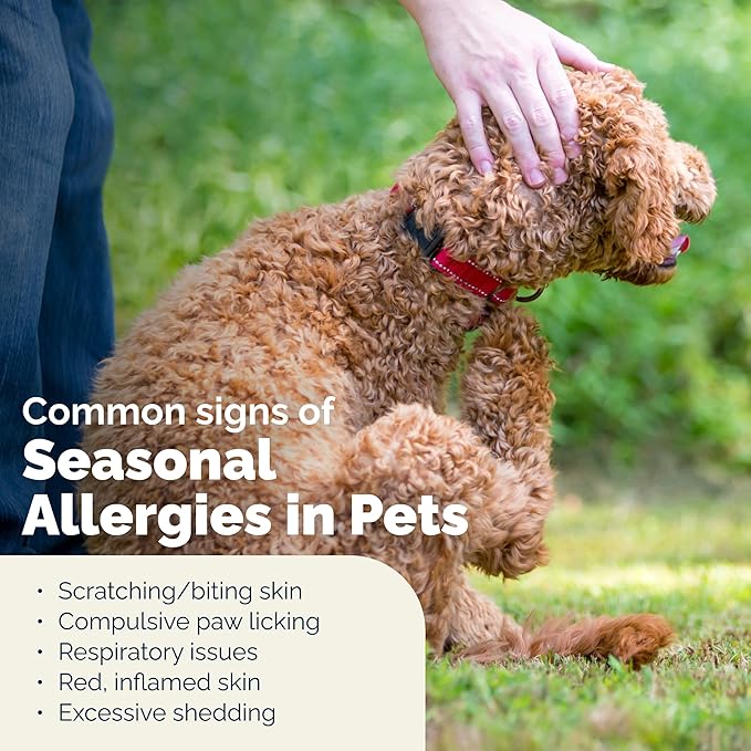 Vetnique Labs Dermabliss Dog Allergy and Itch Relief Shampoo for Dogs with Pramoxine Advanced Vet Strength - Ditch The Itch (Itch Relief, 16oz Shampoo)