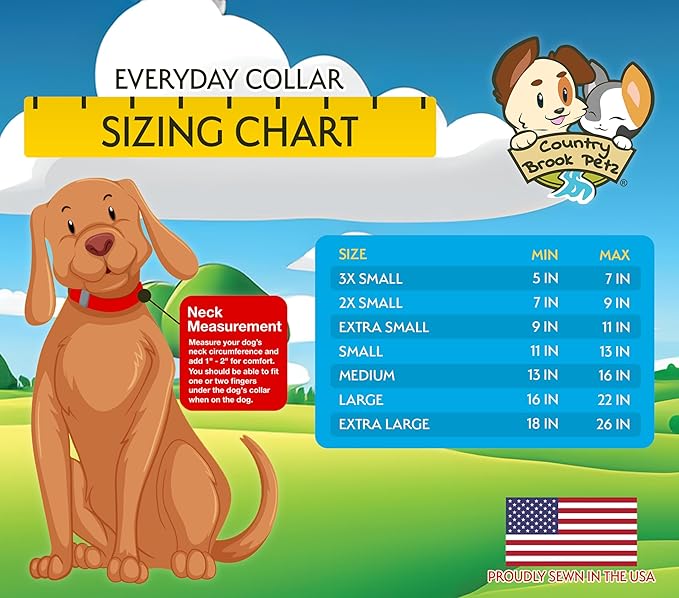 Country Brook Petz - Everyday Nylon Dog Collar for Large, Medium, and Small Dogs and Puppies - for Everyday Use in 15+ Cool Colors (Medium, 3/4 Inch Wide, Yellow)
