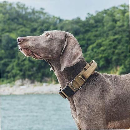 OneTigris Tough Dog Collars, Tactical Dog Collar with Handle, Milltary Adjustable Dog Collar with Heavy Duty Metal Buckle for Training (Medium (Pack of 1), Brown)