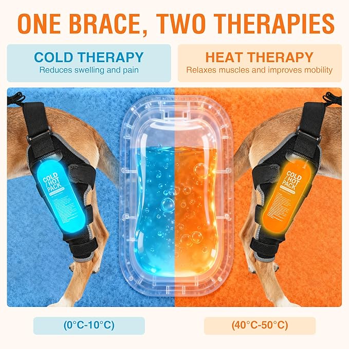 ACL Brace for Dogs – Reflective Adjustable Knee Brace for Dogs Back Leg with Hot/Cold Compress Gel Pack for Joint Pain Relief, Swelling Reduction and Rehabilitation, Left Leg, Size XL