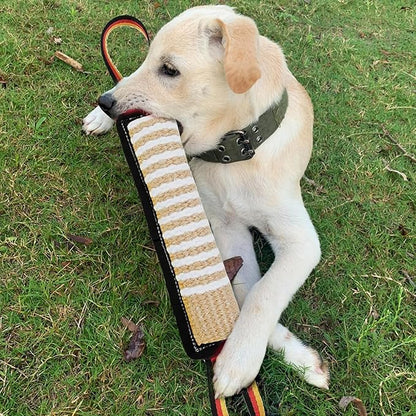ASOCEA Dog Tug Toy,Bite Jute Pillow Pull Toy Tough Squeaky Dog Toys with 2 Handles for Medium to Large Dogs Interactive Toy Tug of War Lasting Training Equipment