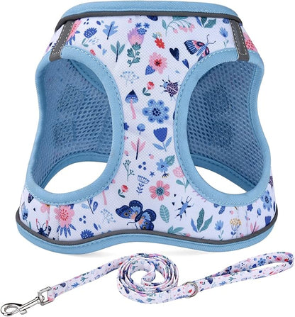 Mihqy Step in Dog Harness and Leash Set, Reflective Adjustable No Pull Dog Harness for Extra-Small/Small Dogs Puppy and Cats, Soft Padded Mesh Vest Harnesses for Girl and Boy Pets(Cute Insect,XXS)