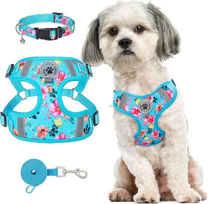 BEAUTYZOO Step in Dog Harness Collar and Leash Set for Small Medium Large Dogs, No Pull No Choke Puppy Harness, Soft Mesh Reflective Pet Padded Vest Adjustable for Doggie Girl or Boy,Chihuahua,Yorkie