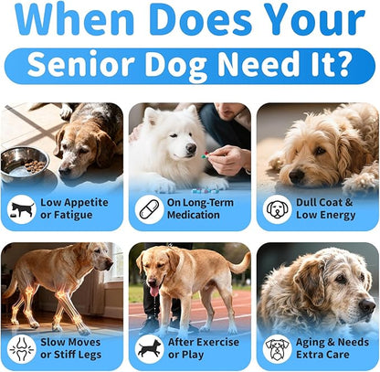 Senior Dog Liver & Joint Supplement – Same, Milk Thistle (Silybin), Glucosamine, MSM for Liver Health Detox, Mobility, Joint Pain Support, Cognitive & Vitality Support, Beef Flavor, 90Ct