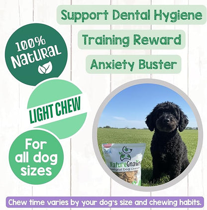 Nature Gnaws USA Chicken Tenders (1Lb) - Delicious Grain-Free Dog Treats for Small, Medium & Large Breeds - Natural Jerky Chews for Dogs.