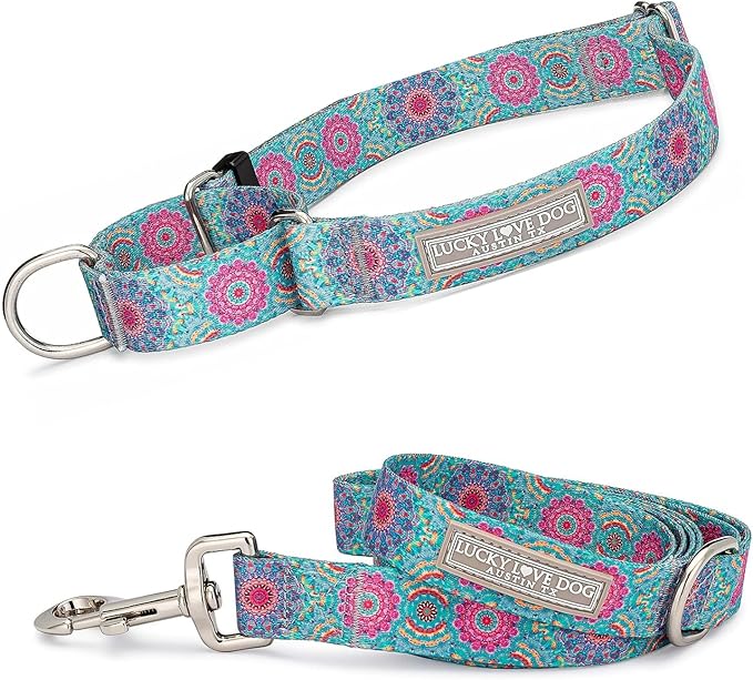 Lucky Love Dog Martingale Dog Collar & Leash - Adjustable, No-Slip, Durable, Comfortable, Soft Webbing, & Stylish Patterned Collar & Leash Set for Male and Female Dogs - Clara Combo, Small