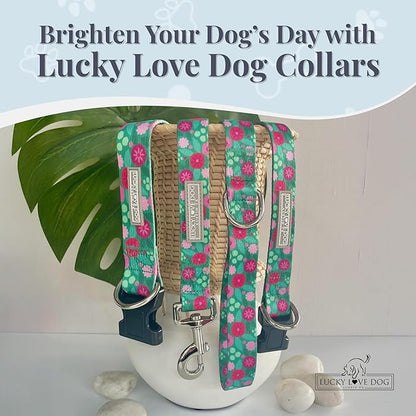 Lucky Love Dog - Adjustable Dog Collar with Easy Click Buckle for Small Dogs, Durable, & Comfortable for Male & Female Dogs, Pet Collar for Puppies & Adult Ones - Penny, Small