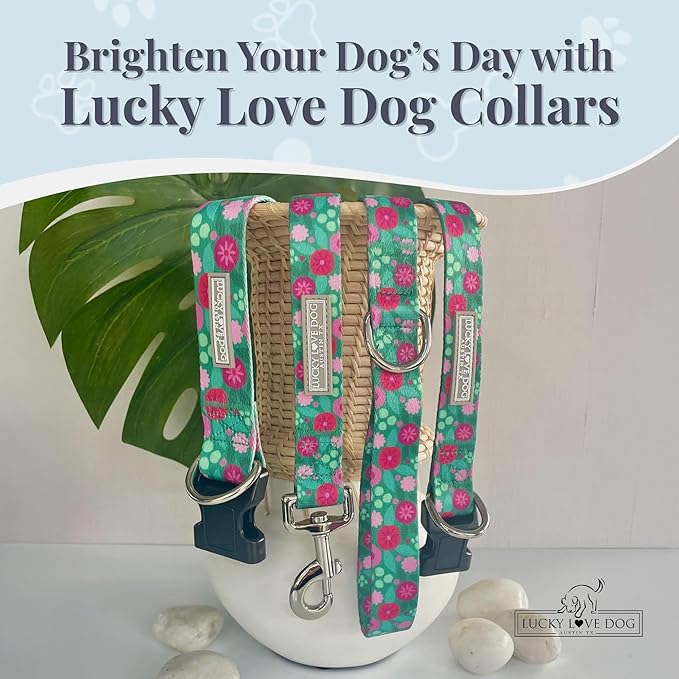 Lucky Love Dog - Adjustable Dog Collar with Easy Click Buckle for Small Dogs, Durable, & Comfortable for Male & Female Dogs, Pet Collar for Puppies & Adult Ones - Penny, XS
